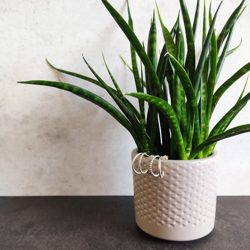 Double Trouble - Afbeelding 2